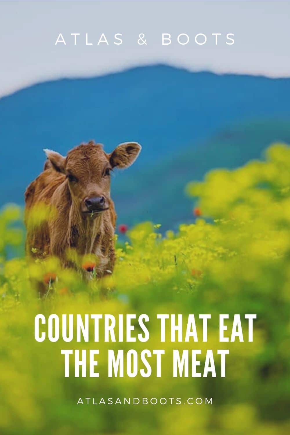 Countries that eat the most meat ranked Atlas & Boots