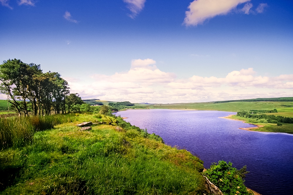 Greenlee Lough