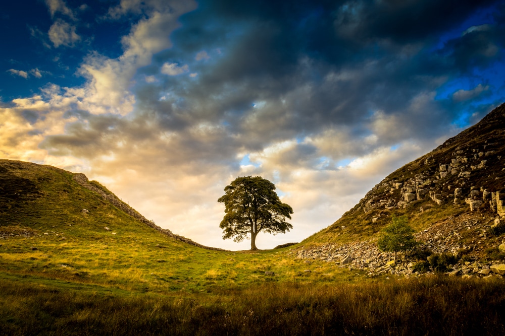 Sycamore Gap es una de las mejores excursiones en el Parque Nacional de Northumberland