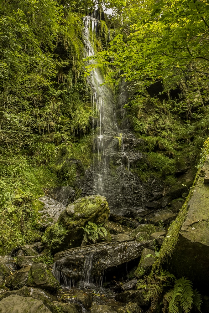 Mallyan Spout es una de las mejores excursiones en el Parque Nacional de los Moros de North York