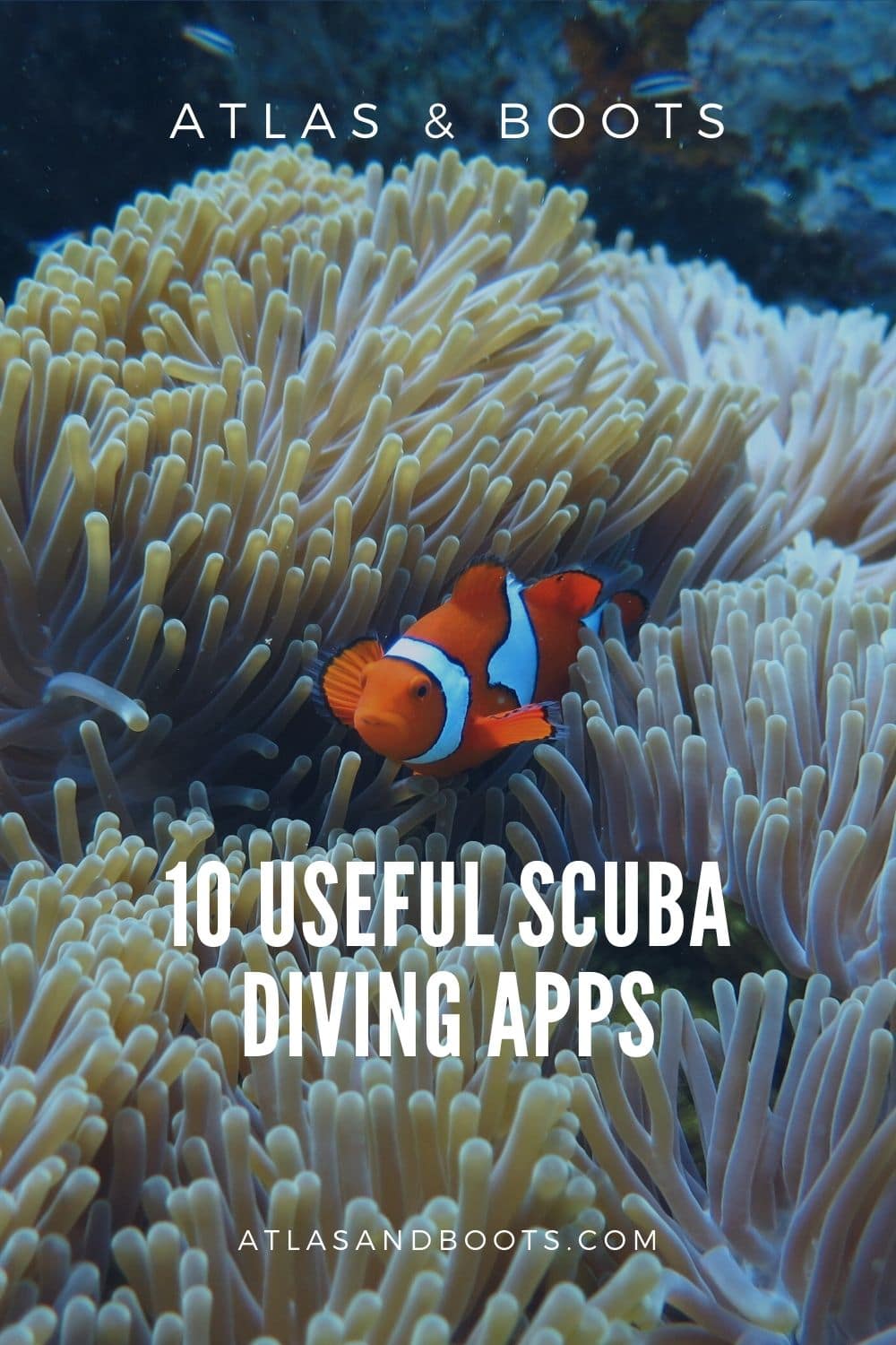 10 useful scuba diving apps Atlas & Boots