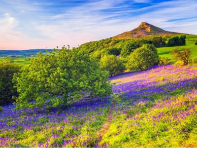 Roseberry Topping is one of the best hikes in the North York Moors National Park