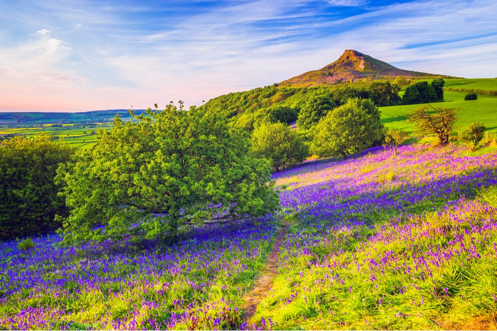 Roseberry Topping is one of the best hikes in the North York Moors National Park