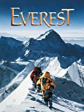 Everest 1998 poster