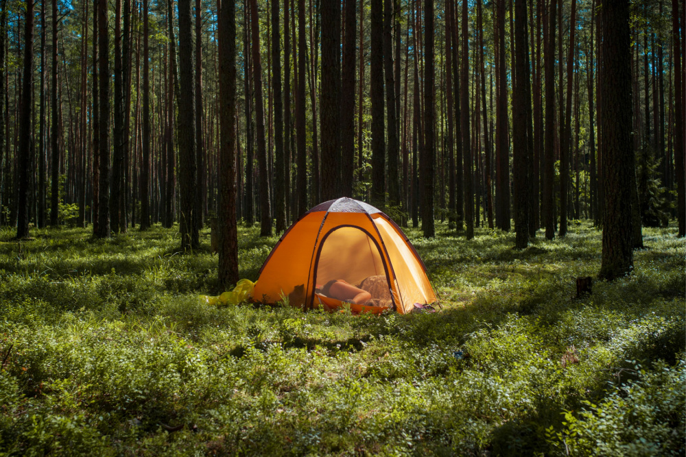 A dome tent pitched in a forest