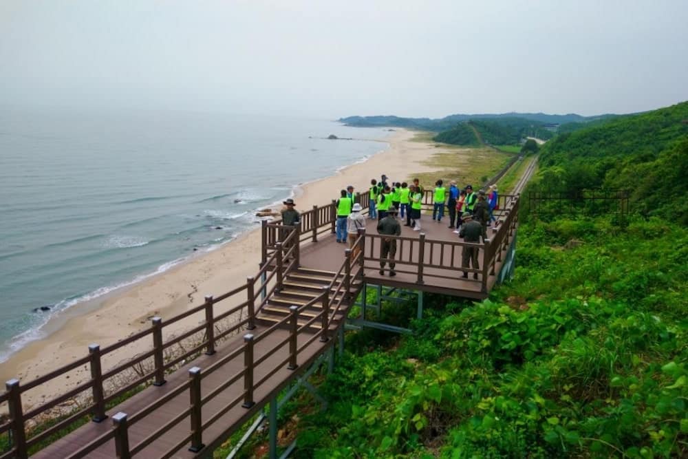 Los excursionistas en una pasarela de la DMZ