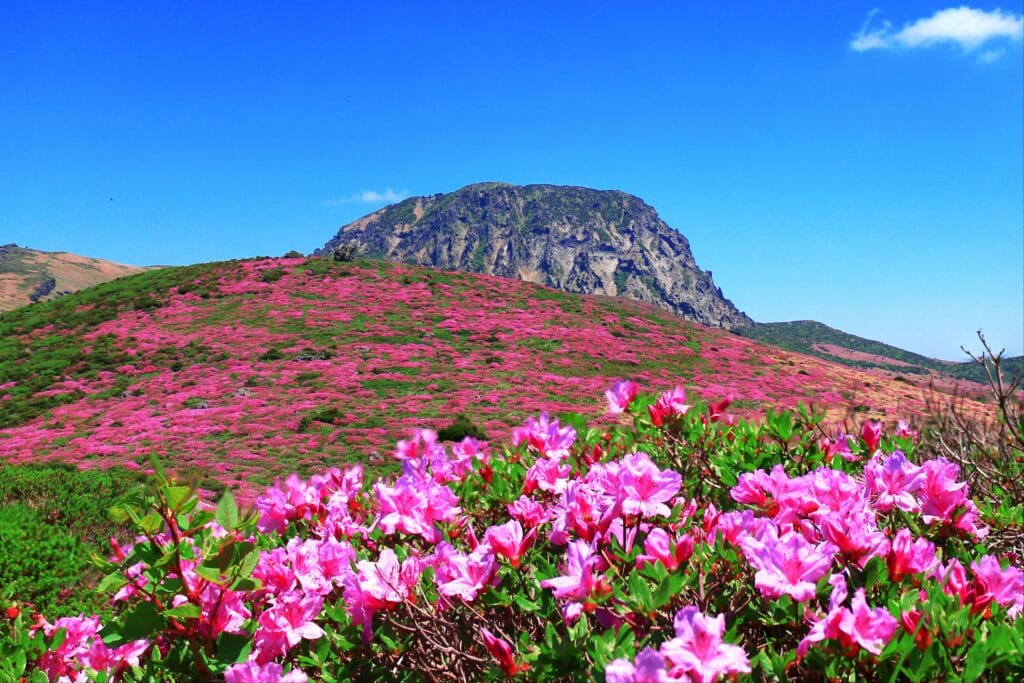 Hallasan is one of the best hikes in South Korea