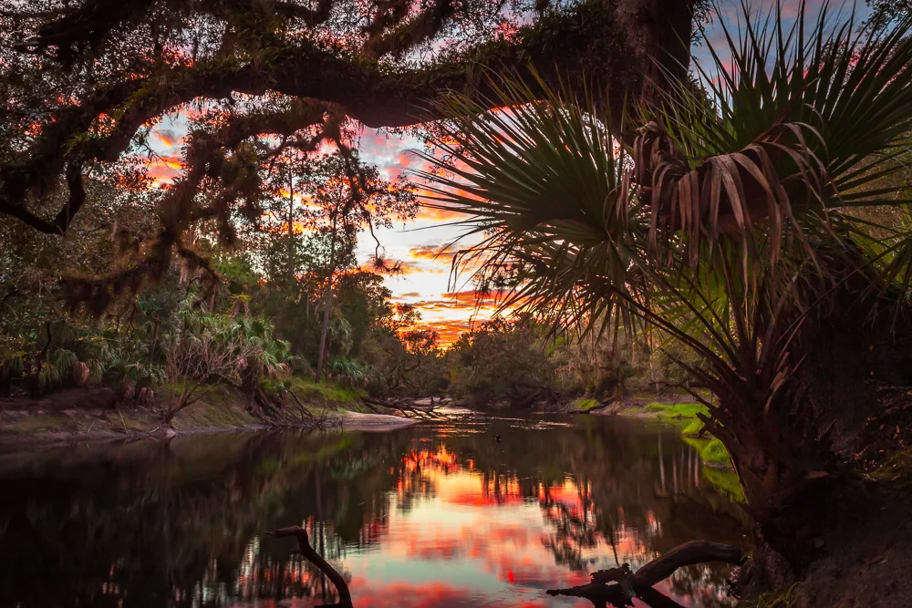 Bosque estatal Little Big Econ, Florida