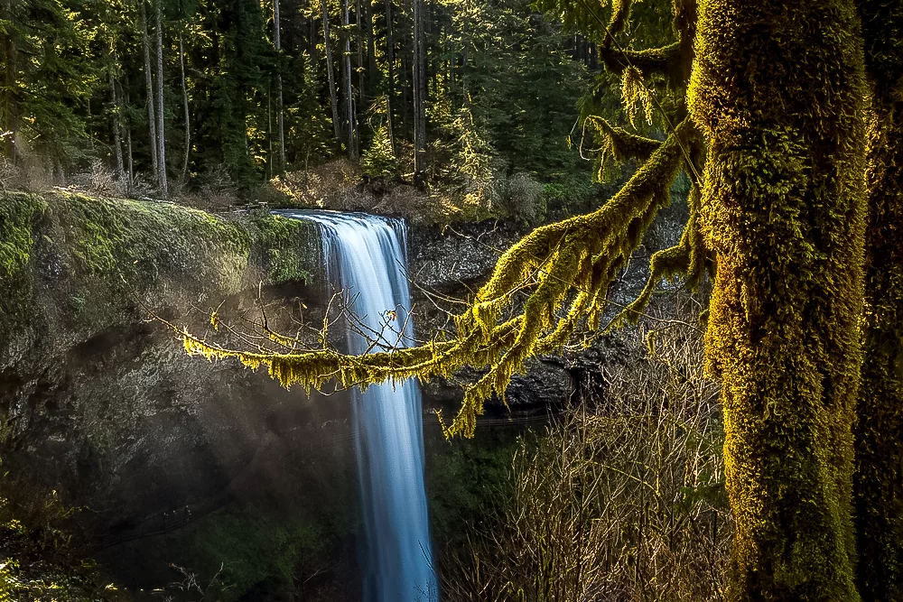 Las Cataratas de Plata en el Valle de Willamette de Oregón