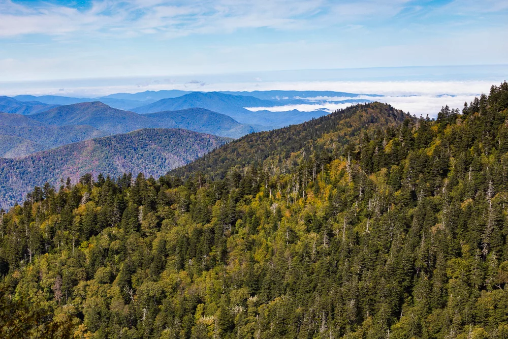 El Parque Nacional de las Montañas Great Smoky en Tennessee es una de las mejores rutas de senderismo en todos los estados de EE.UU.