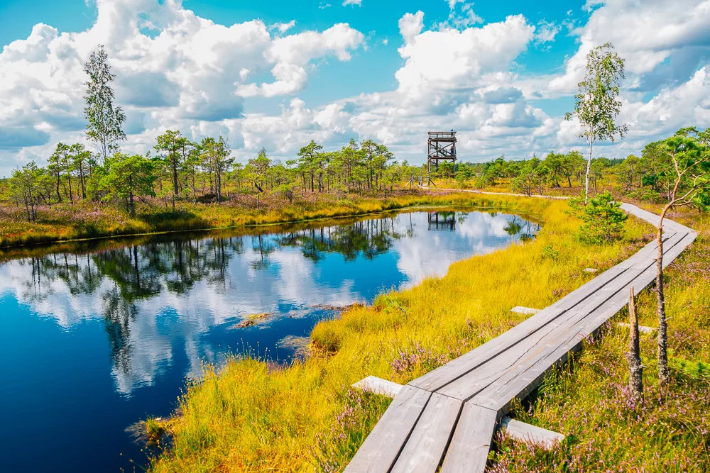 Boardwalks through Ķemeri