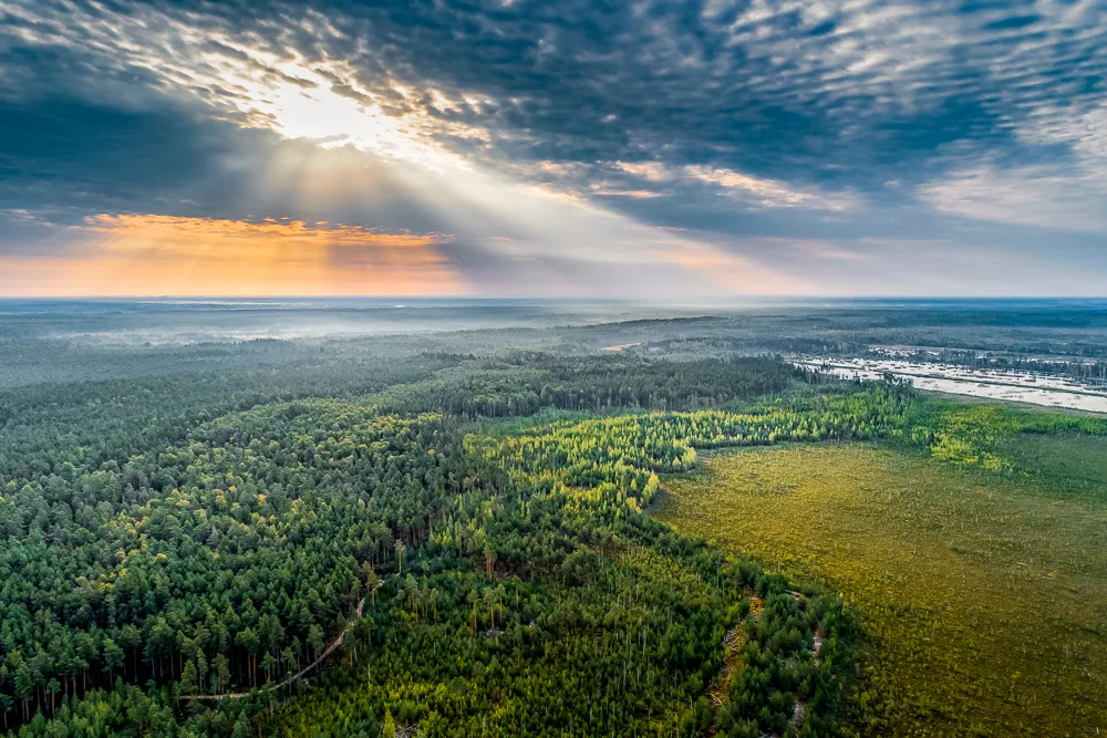 Una vista aérea de la campiña letona