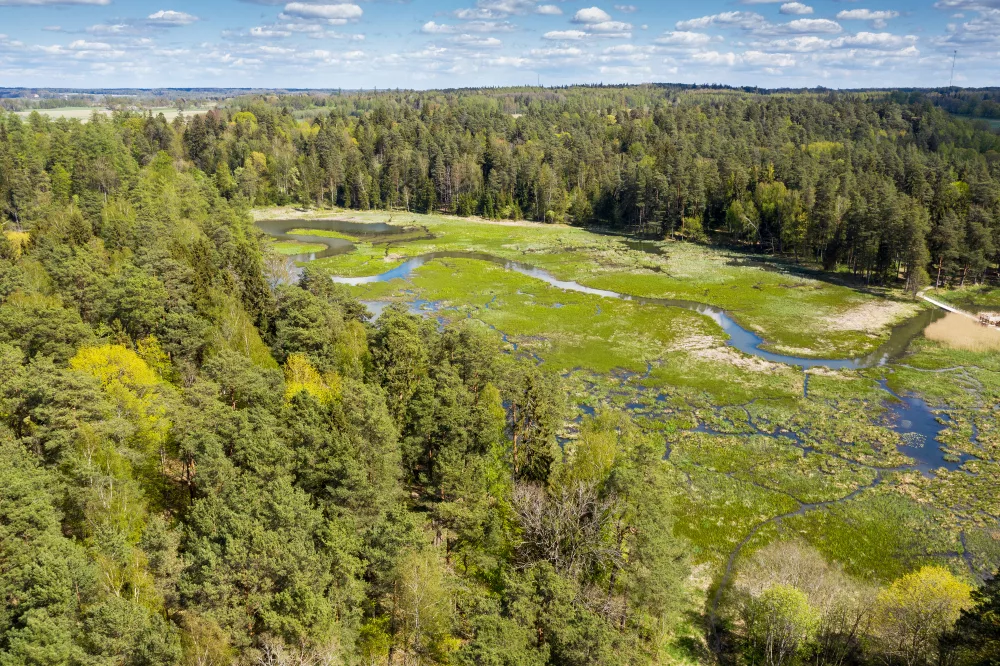 El sendero de la naturaleza de Kazdanga