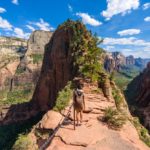 best hiking trails in every US state