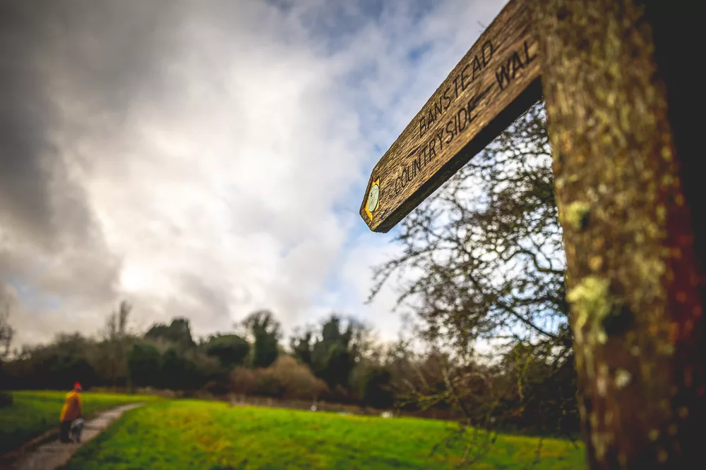 Banstead Woods 