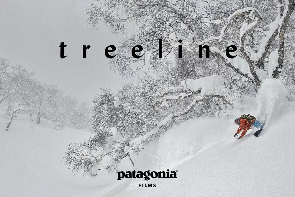 Treeline is one of the outdoor films to watch online