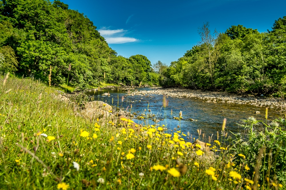 The River Swale in the Yorkshire Dales