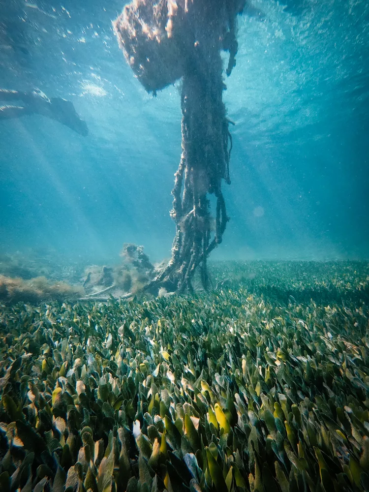 diving in Cyprus: underwater shot of a boat
