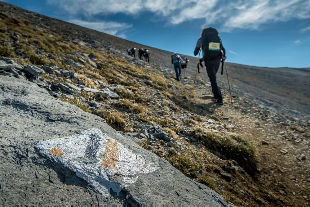 A hiker passes a trail sign during the Highlander Olympus trek