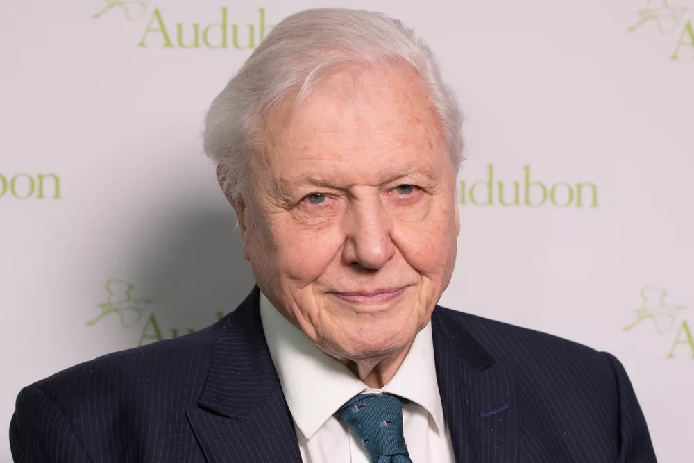 David Attenborough is one of the most famous environmentalists working today