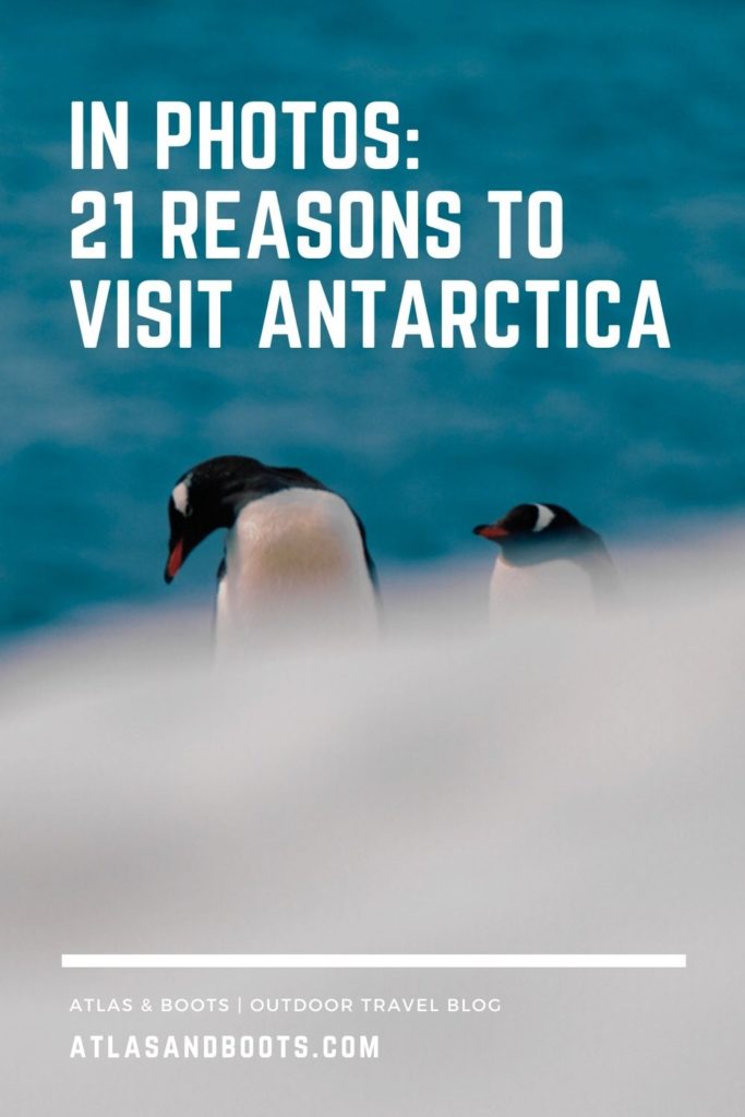 Reasons to visit Antarctica Pinterest pin
