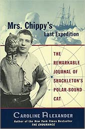Mrs Chippy book cover