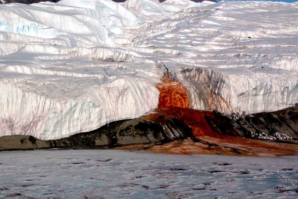 Interesting facts about Antarctica: a glacier that bleeds