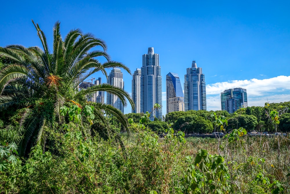 Skyscrapers above tropical plants in the reserve