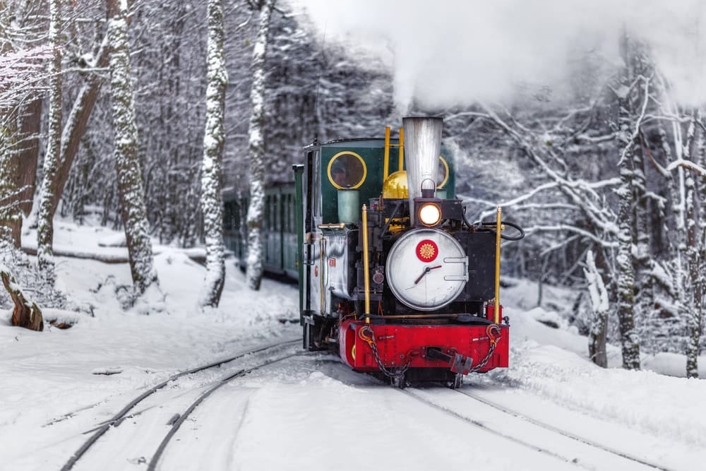 best things to do in ushuaia: Tren del Fin de Mundo