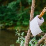A toilet roll hanging on a branch in the wild