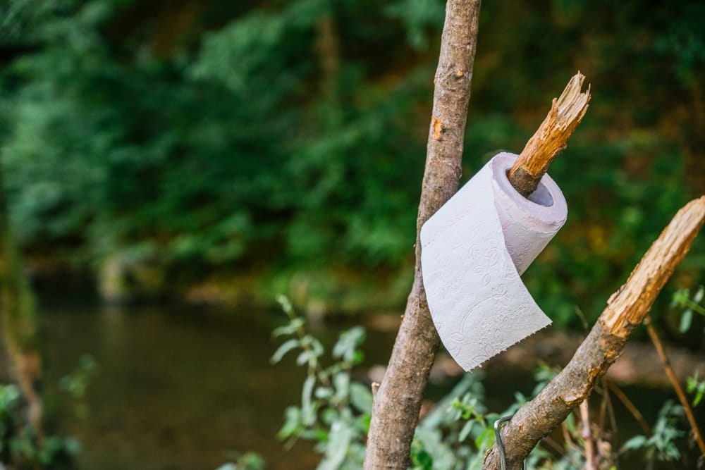 A toilet roll hanging on a branch in the wild