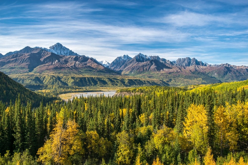 Mountains and forests in Wrangell-St Elias