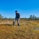 Peter bogshoeing in Ķemeri National Park, Latvia