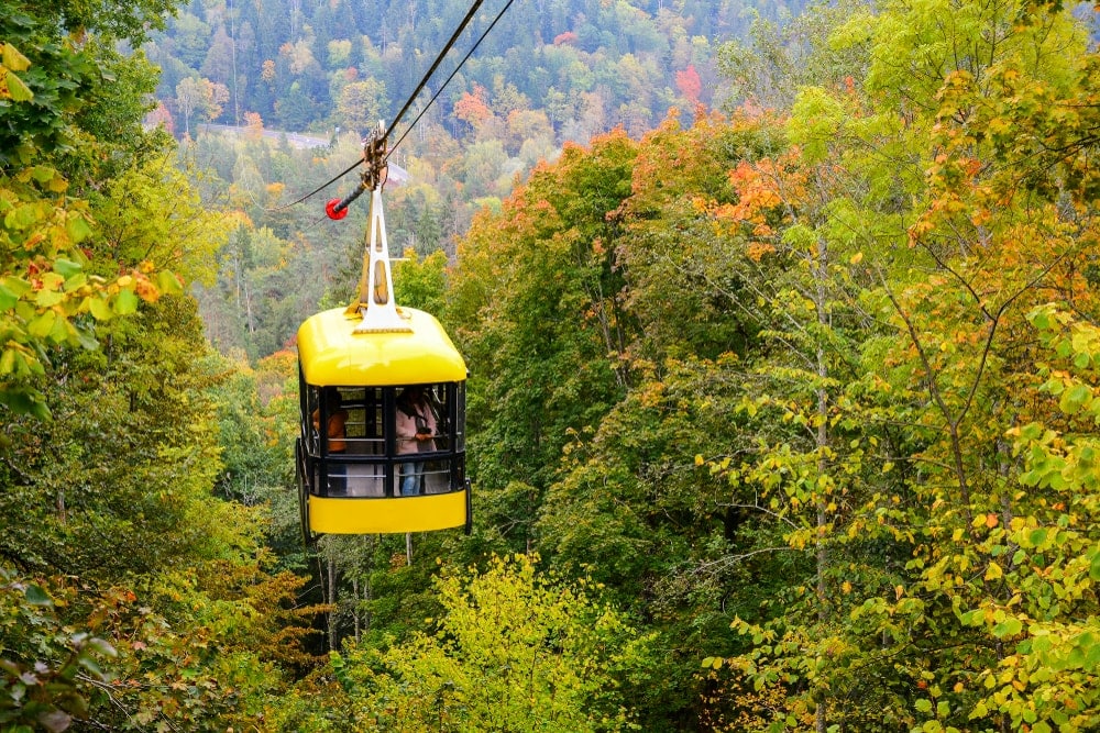 The Sigulda cable car surrounded by trees in Gauja National Park