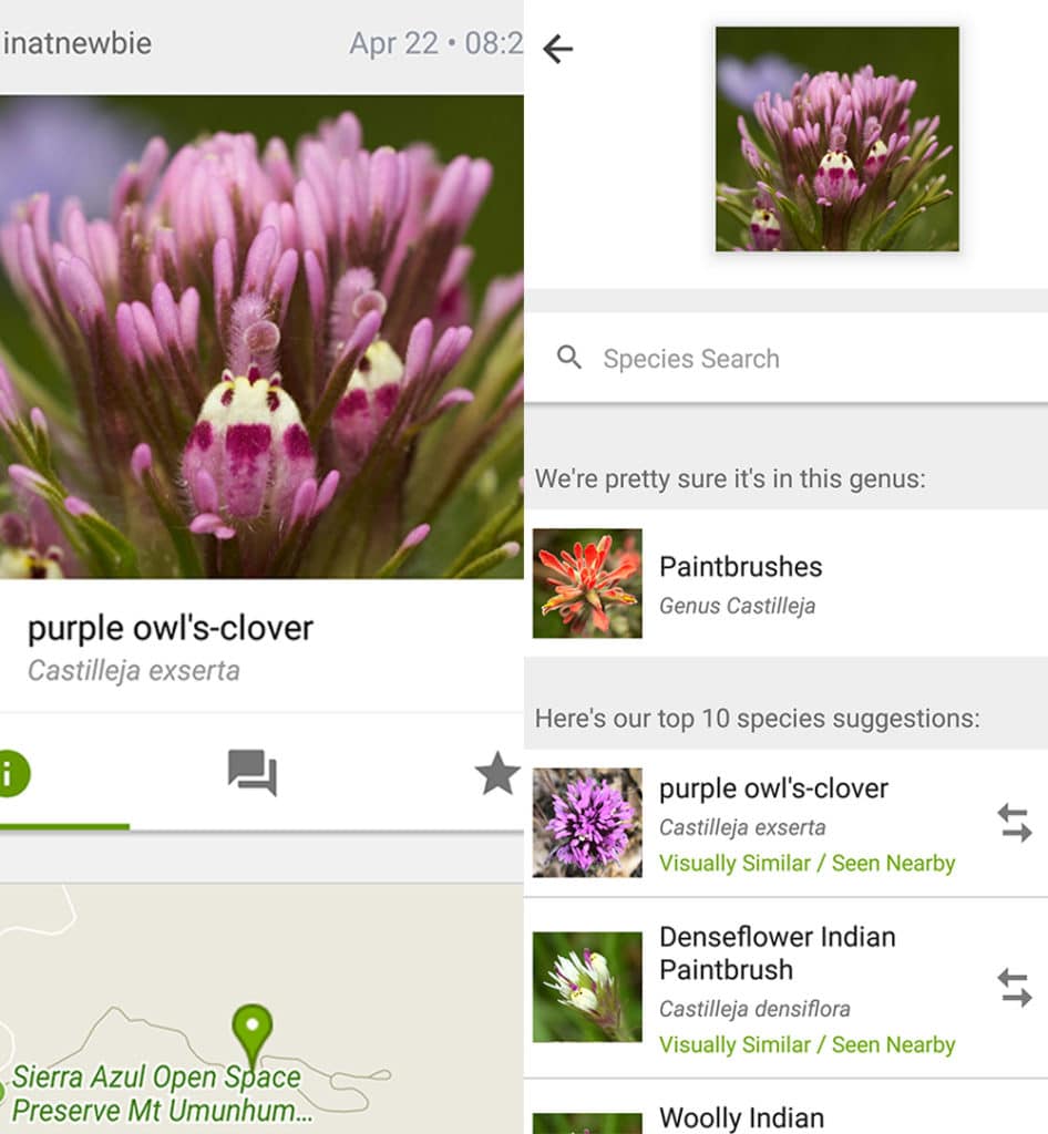 iNaturalist hikign app screenshots