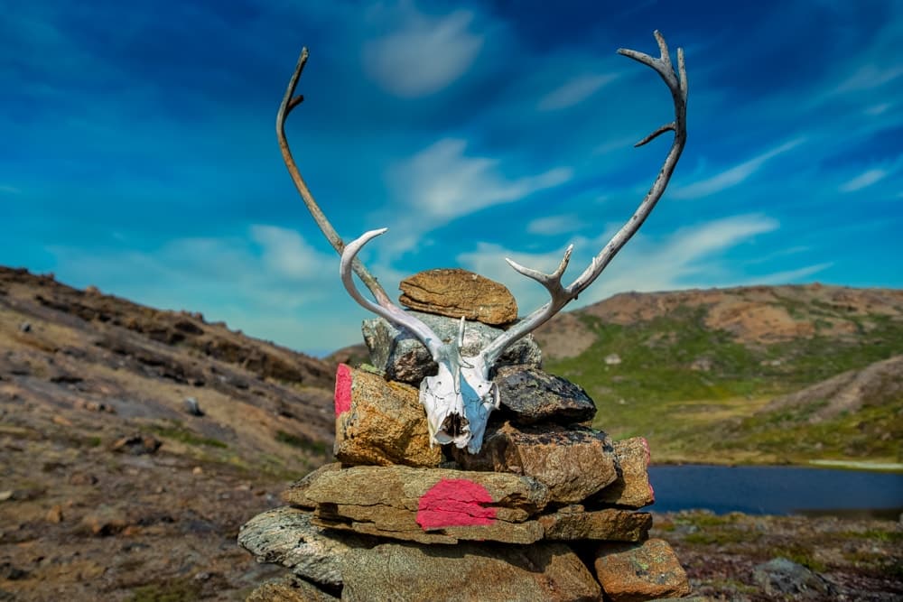 A cairn in the Arctic Circle Trail with a reindeer skull