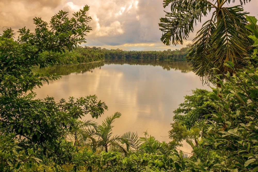 A river along the Darién Gap – one of the world's most dangerous hikes