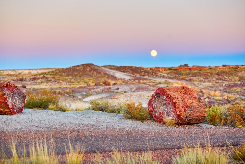 Petrified Forest is one of the US national parks that are freeon