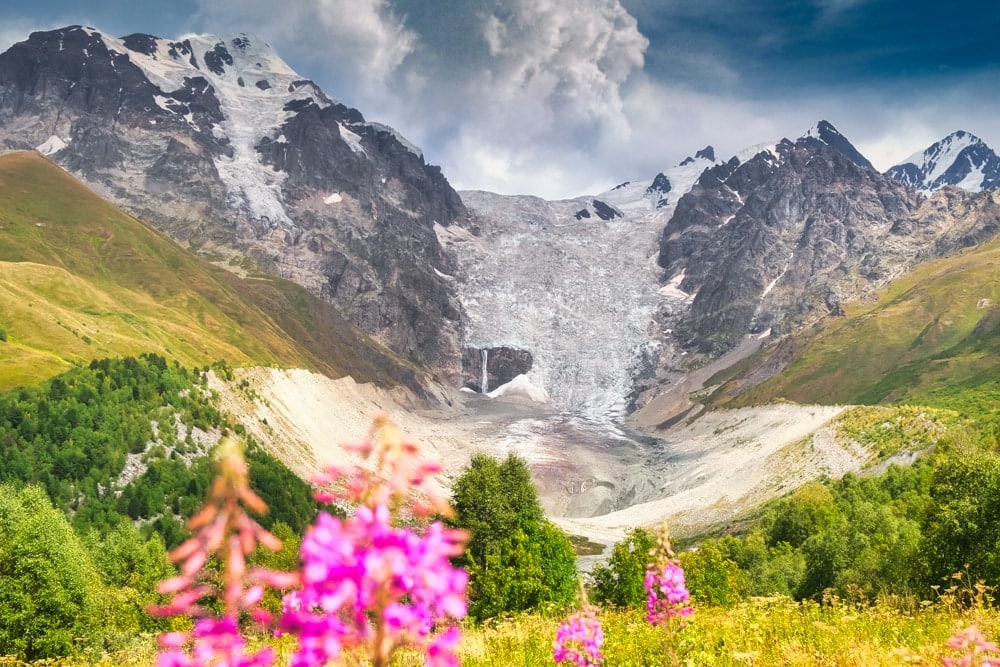 The Adishi Glacier with wildflowers in the foreground