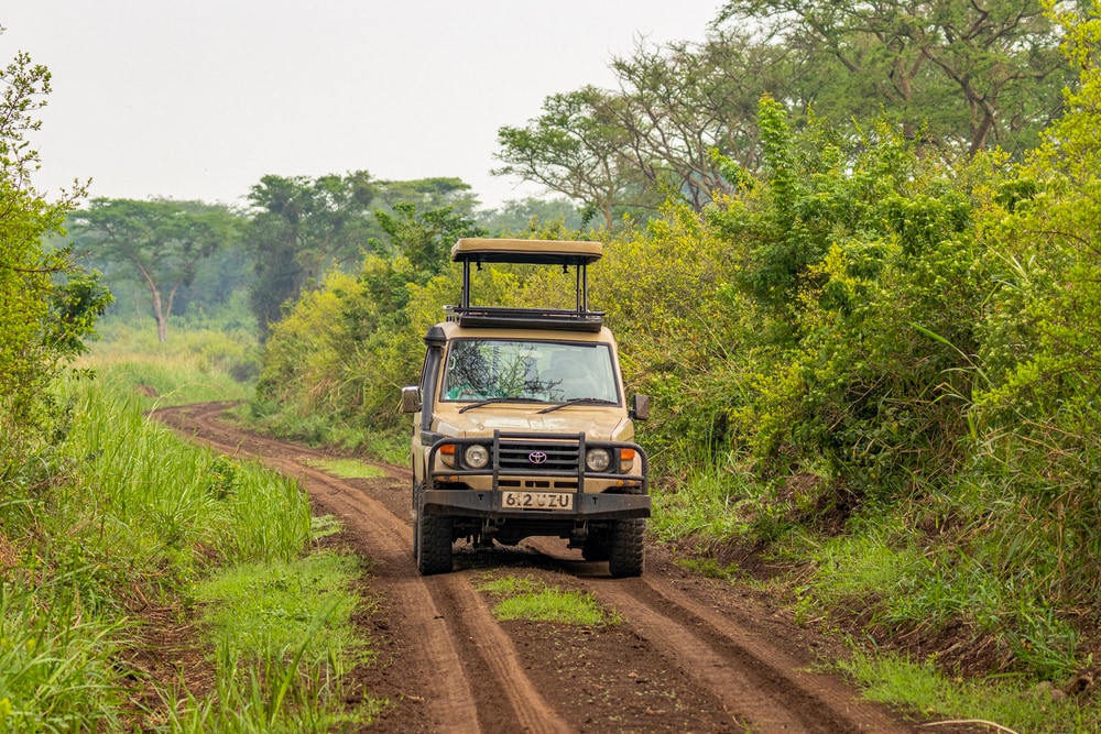 4x4 Pop Up Self Drive di Uganda Safari