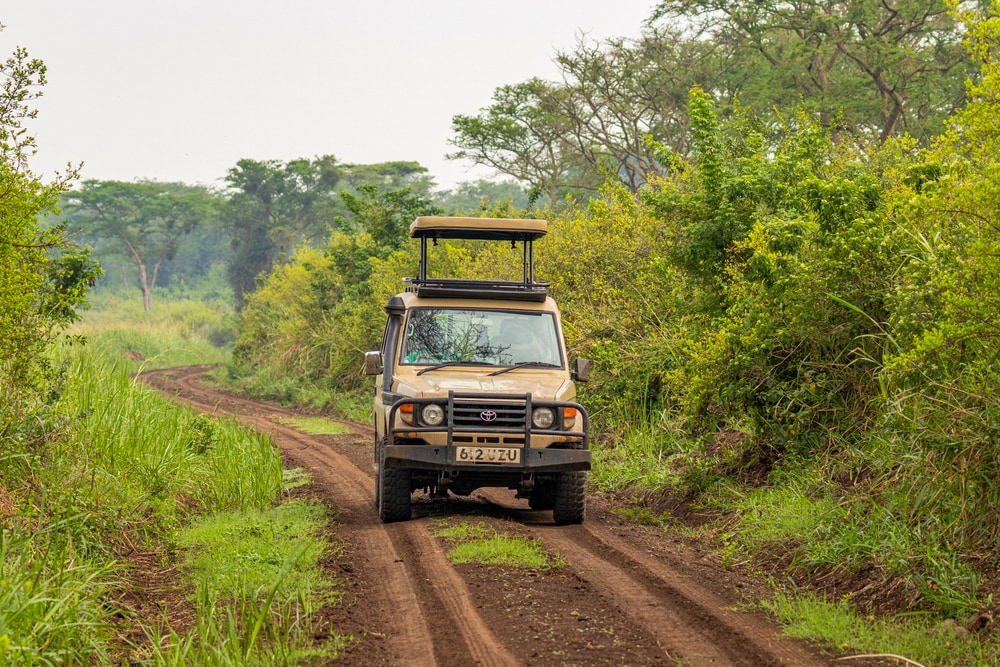 A 4x4 with a pop-up roof on self-drive Uganda safari