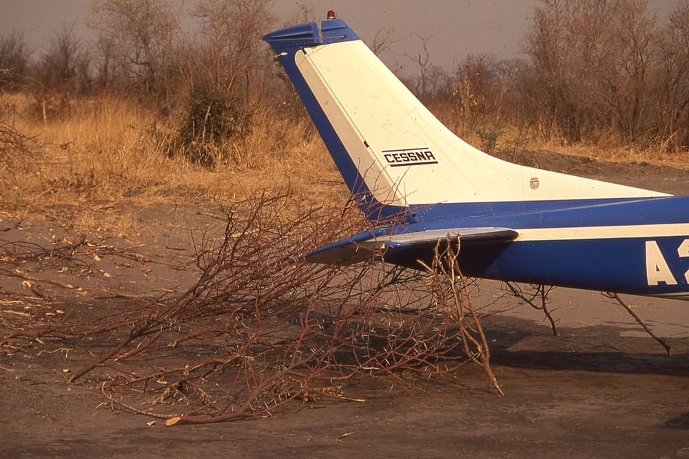 The tailplane with thorn bushes
