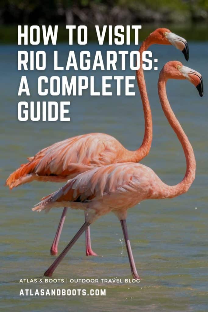 Cara mengunjungi Pin Pinterest Rio Lagartos