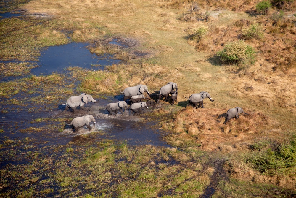 Flying over the Okavango Delta in Botswana