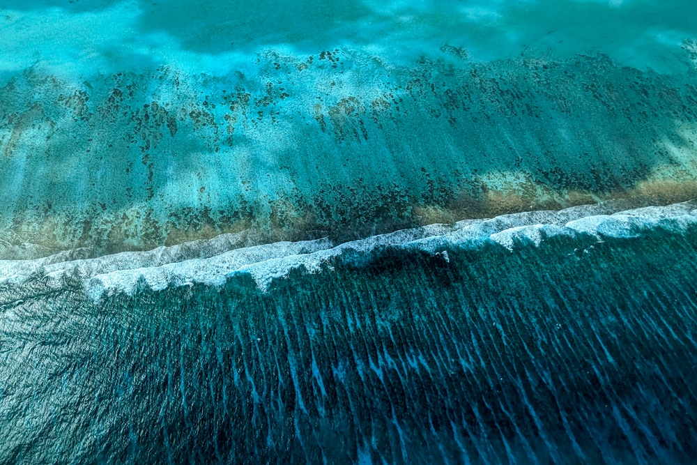 Karang Penghalang Belize