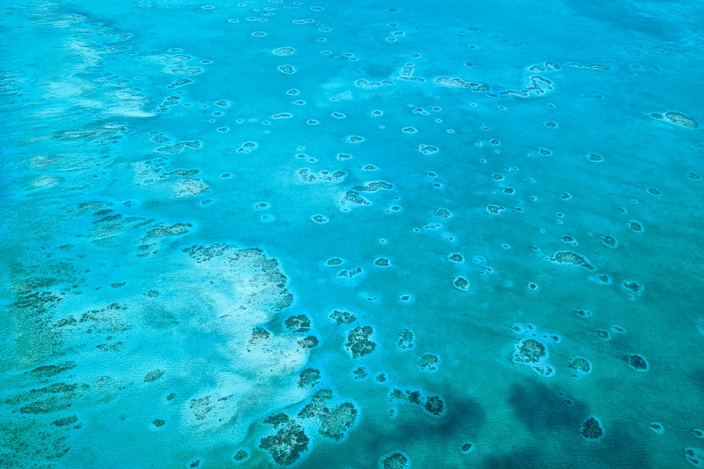 The Belize Barrier reef