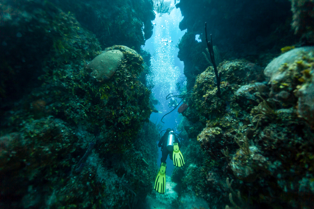 Divers in a tunnel in the Blue Hole Belize – one of the best things to do on Ambergris Caye