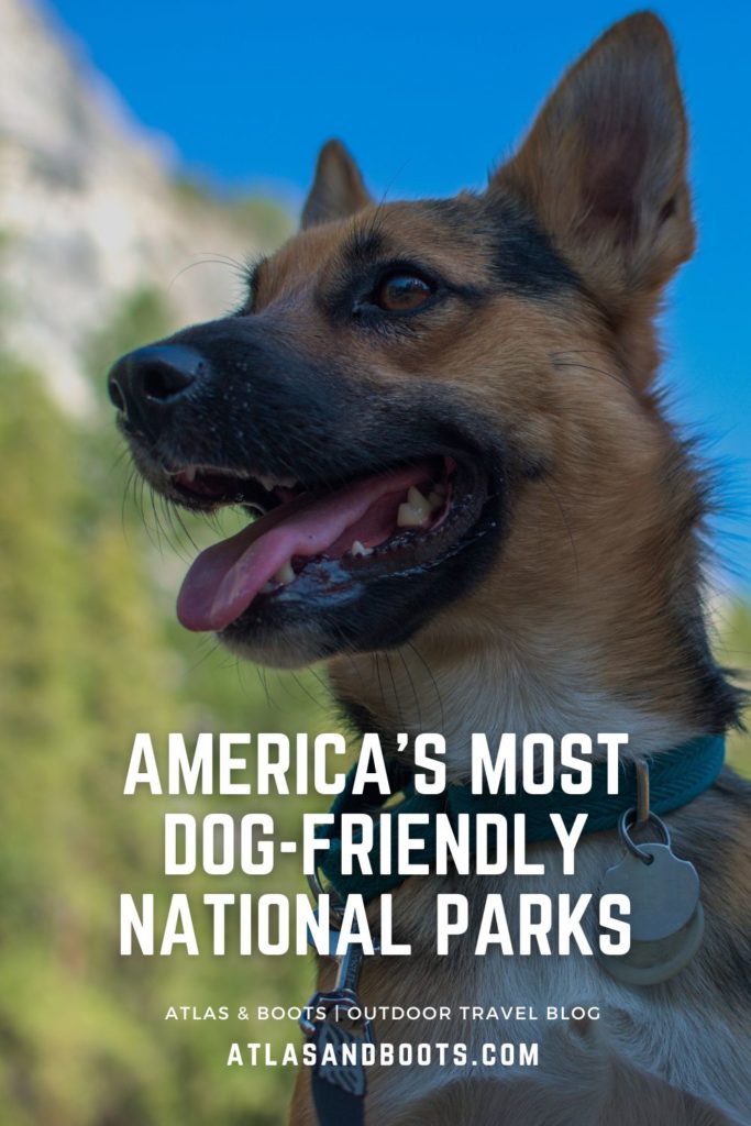 dog-friendly national parks Pinterest pin