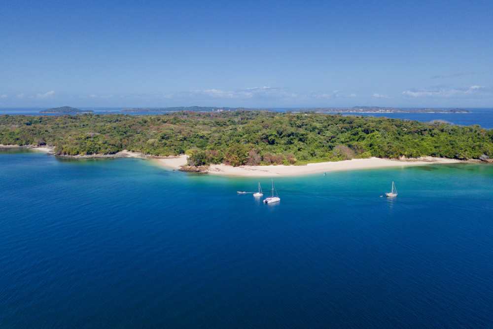 An island with a beach and forest seen from above