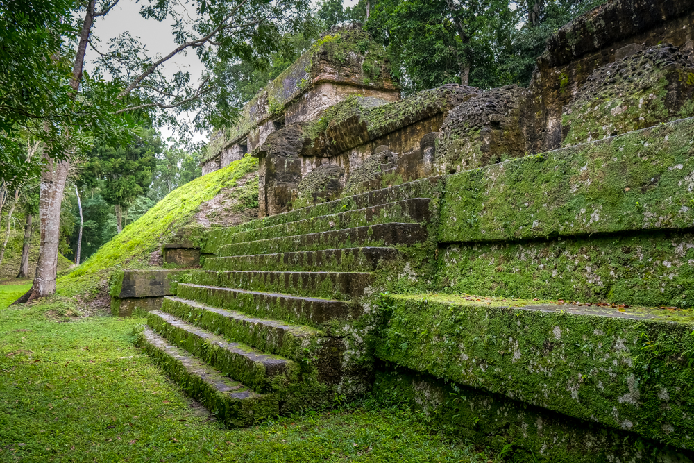 Escalones cubiertos de musgo en Tikal